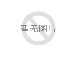 公司榮譽